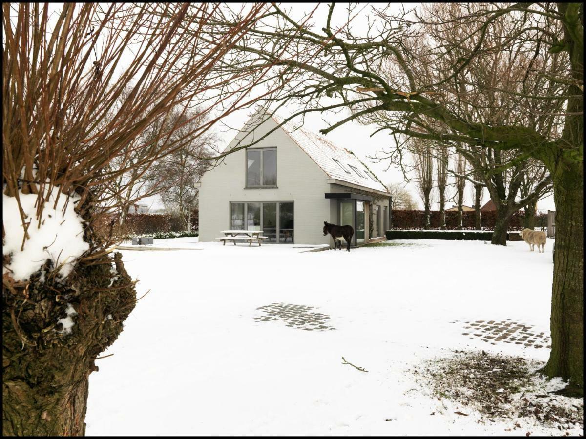 Rooseboom22 Bed and Breakfast Aartrijke Eksteriør billede