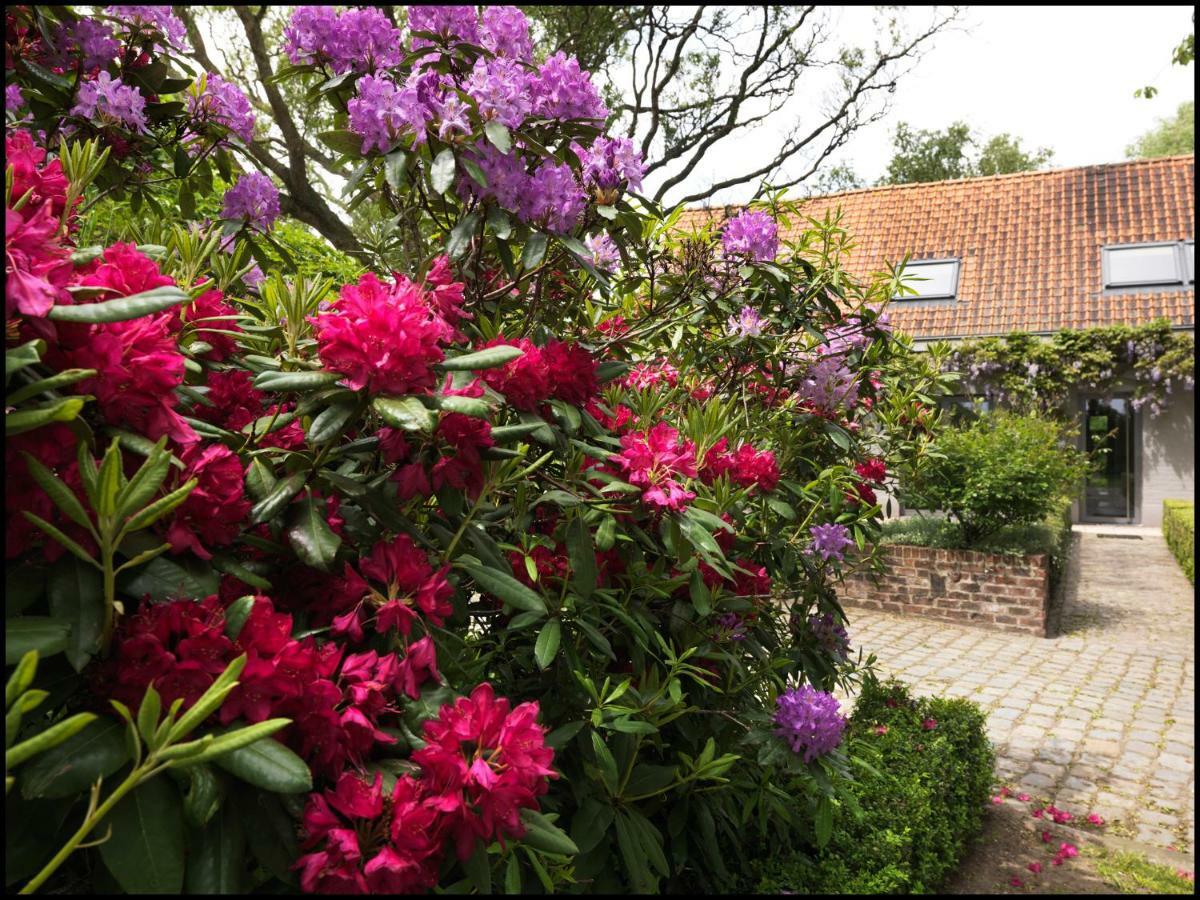 Rooseboom22 Bed and Breakfast Aartrijke Eksteriør billede